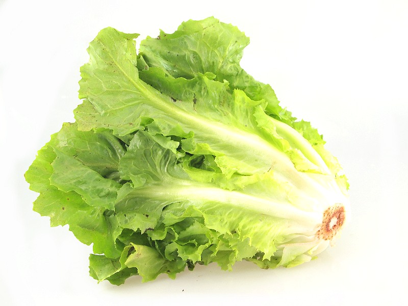 Wochenangebot KW2-3 Endivien